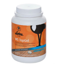 Купить LOBA WS TopGel гель для паркета 1кг